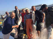 بالفيديو والصور: اصطياد 600 كيلو من أسماك "اللبط" النادرة على شواطئ يافا 